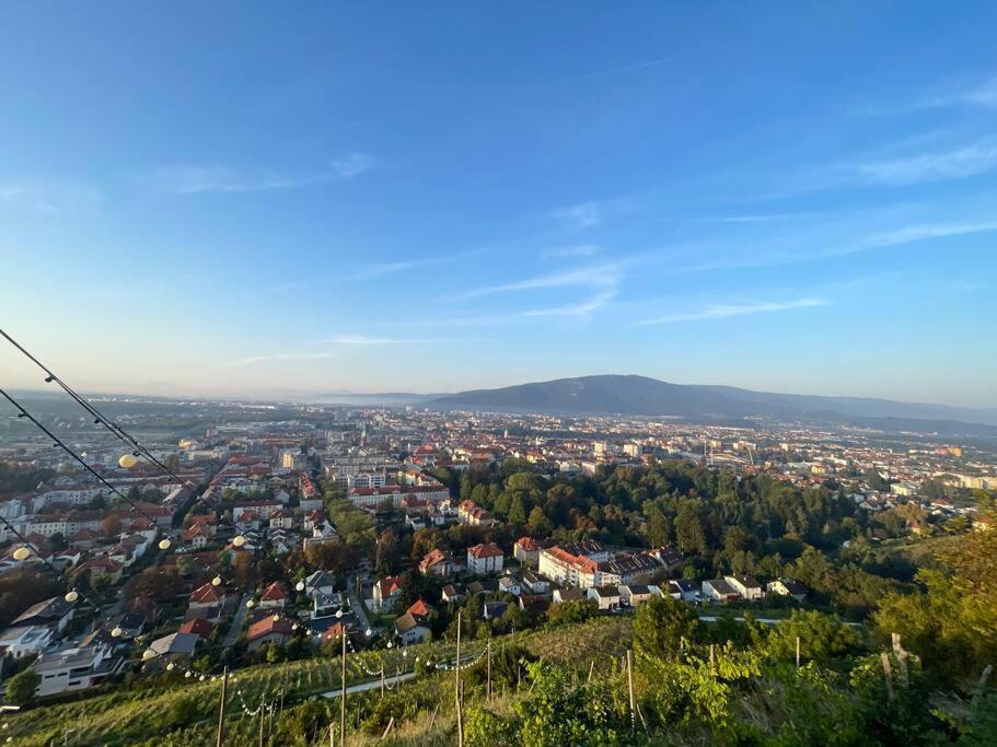 Studio With A View On City Center Park Maribor Exteriér fotografie